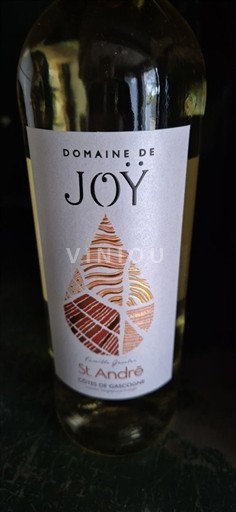 Sørvest Côtes de Gascogne Domaine Joy St André Ikke-årgang