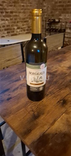 Bordo Amandine berardengo 2021