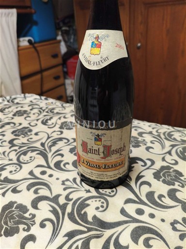 Lugina e Ronës Shën Jozefi J. Vidal-Fleury 2004