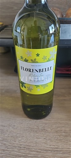 Jugperëndim Bregdeti i Gasconisë Florensbelle 2024