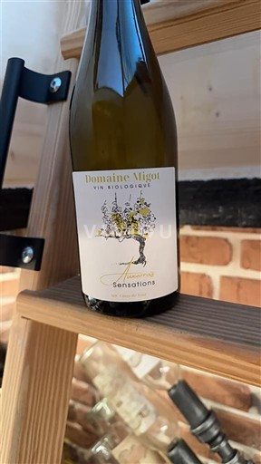 Lorena Кот де Тул Domaine Migot Auxerrois Sensations 2022