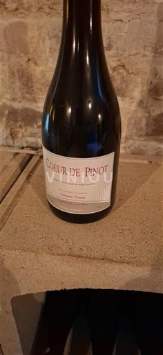 Burgund Domaine Terres Rouges Cœur de Pinot 2024