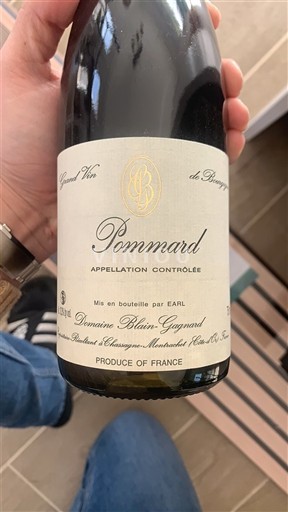 Burgundija Pommard Domaine Blain-Gagnard 2019