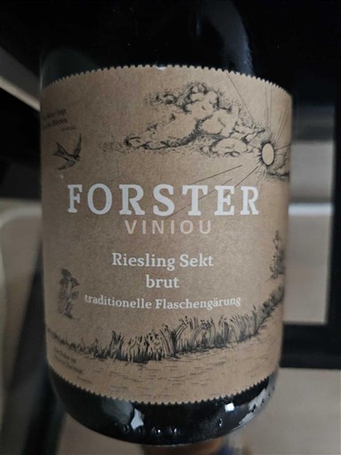 Pfalz Nespecificirano Forster Riesling Sekt Non Millésimé