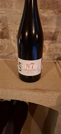 Jugperëndim Bregdeti i Gasconisë Domaine Uby N°7 2023