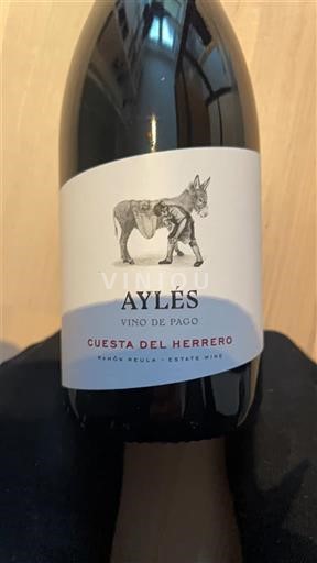 Aragoni E paspecifikuar Aylés Cuesta del Herrero 2022