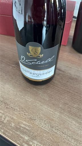 Баден O. Schell 2022