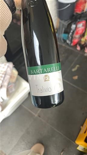 Marke Verdicchio dei Castelli di Jesi Sartarelli Tralivio 2019