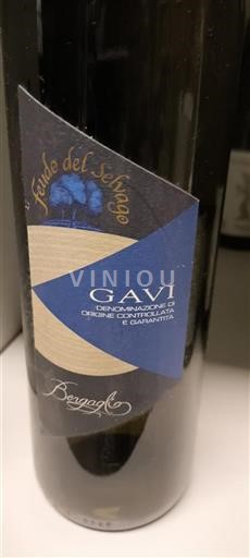 Piemonte Gavi Bergaglio Fundo del Selvaggio 2012