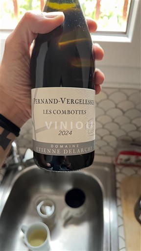 Burgundi Pernand-Vergelesses Domaine Etienne Delarche Les Combottes 2024