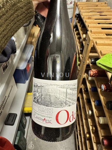 Abruco Монтепулчано д'Абруцо Cantina Tollo Ode 2018