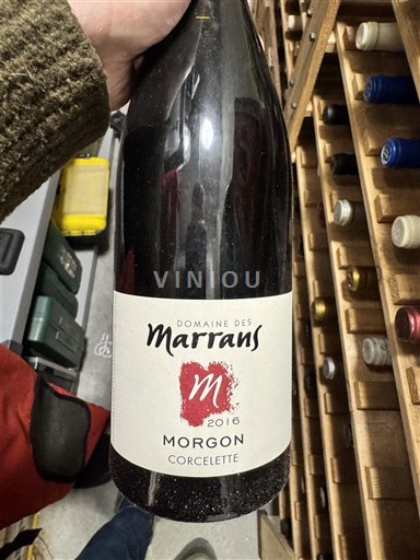 Beaujolais Morgon Domaine Marrans Corcelette 2016