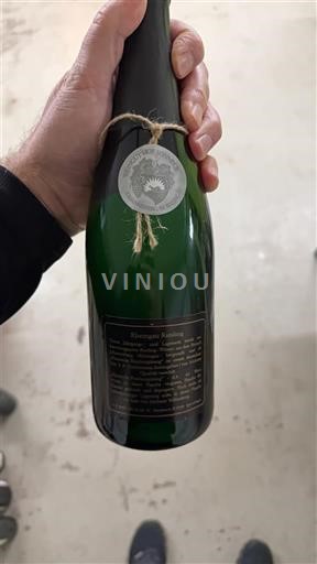 Mosela Mosel Karthäuserhof Karthäuserhofberg Riesling Jo Viti