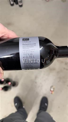 Бургенланд Nespecificirano Hill Side Rotwein 2017