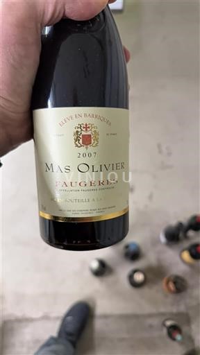 Лангедок Фоже Mas Olivier 2007