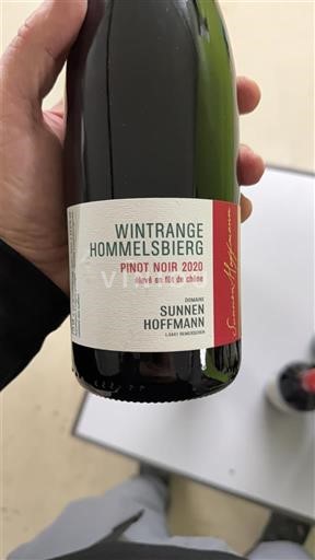 Luxembourgsk Mosel Mosel Luxembourg Sunnen Hoffmann Wintrange Hommelsbierg 2020