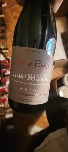 Lugina e Ronës Shën Jozefi Antoine Borget 2010