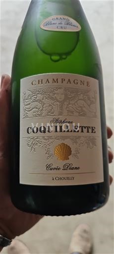 Шампања Šampanjac Grand Cru Stéphane Coquillette Diane Non Millésimé