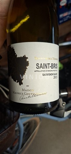 Burgundi Saint-Bris Maison Maurice Gentilhomme 2023