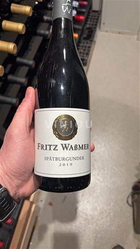 Баден Fritz Waßmer 2019