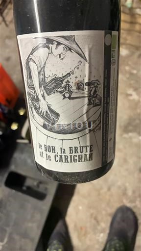 Lengdok dhe Rusionjë Côtes de Thongue Domaine Mathurins Le Bon, la Brute et le Carignan 2018