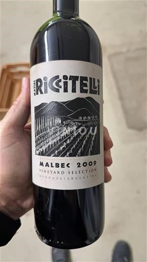 Mendoza Matias Riccitelli Vineyard Selection 2009