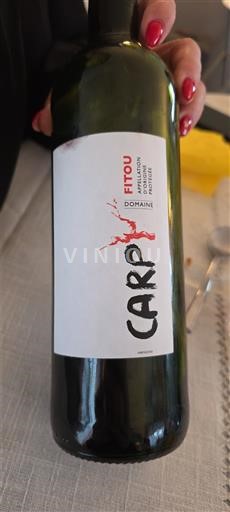 Languedok Fitou Domaine Carp Jo Viti
