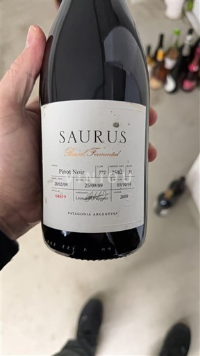 Патагонија Nespecificirano Saurus Barrel Fermented 2009
