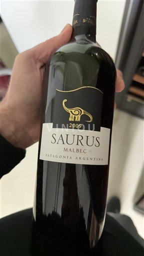 Патагонија Nespecificirano Saurus Malbec 2009
