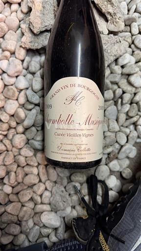 Burgundy Chambolle-Musigny Domaine Collotte Vieilles Vignes 2009
