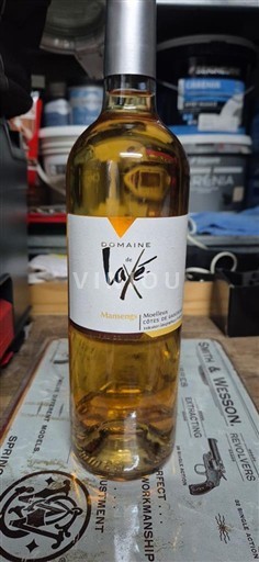 Jugperëndim Bregdeti i Gasconisë Domaine Laxé Jo Viti