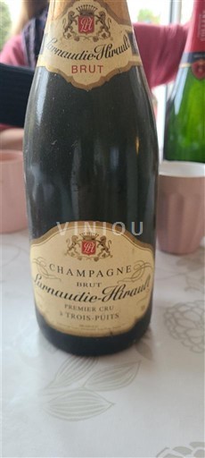 Shampanjë Larnaudie-Hirault Premier Cru Trois-Puits Jo Viti