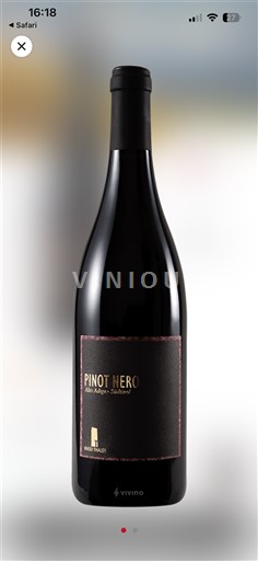 Trentino-Sør-Tyrol Høy-Adige Maso Trauler 2021