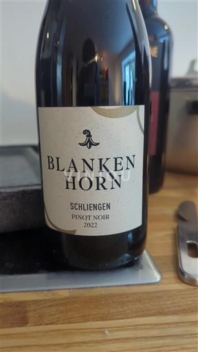 Baden E paspecifikuar Blankenhorn 2022