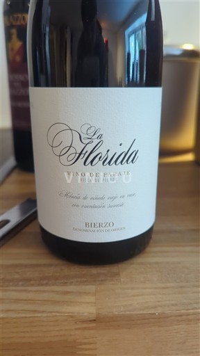 Kastilja dhe Leoni Bierzo Vile La Florida La Florida Jo Viti