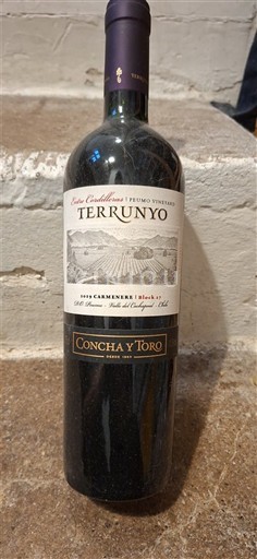 Dolina Maipo Маипо Алто Concha y Toro Terrunyo 2018