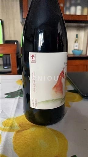 Pijemont Грињолино д’Асти Cascina Rey Lasmestè 2022