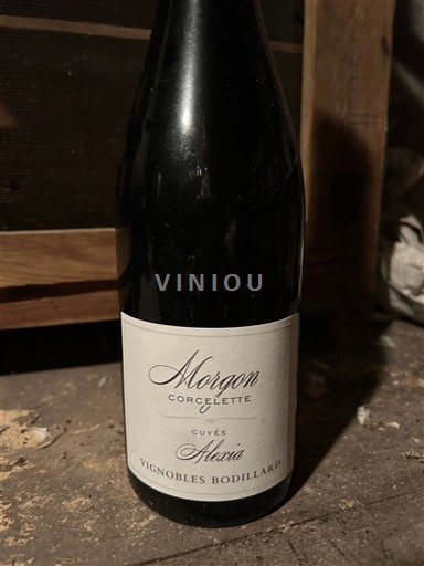 Beaujolais Morgon Vignobles Bodillard Alexia 2022
