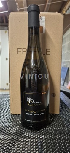 Lugina e Luarës Muscadet-sèvre-et-maine Domaine Chaintré Mouzillon Tillières 2020
