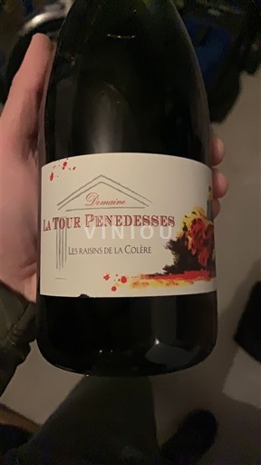 Лангедок Фоже Domaine La Tour Penedesses Les Raisins de la Colère 2020