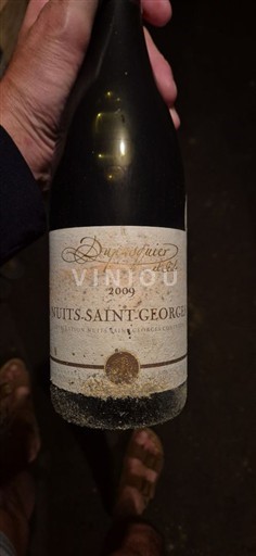 Bourgondië Nuits-saint-georges Dupreuil-Fontaine 2009