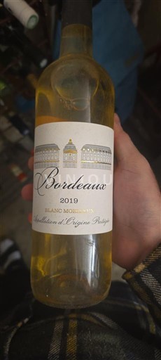 Bordo Amand chaperon 2019