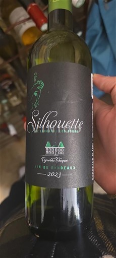 Burdeos Bordeaux Larrivaux Les Tours Silhouette 2023