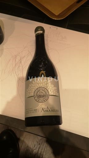 Vale do Ródano Não especificado Château Les Amoureuses 2023 2023