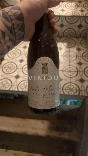 Bourgondië Nuits-saint-georges Premier Cru Domaine Robert Chevillon Les Vaucrains 1999