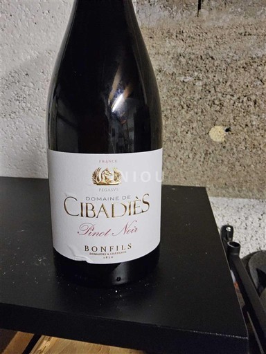 Languedoc og Roussillon Pays d'oc Domaine Cibadiès Pinot Noir 2024