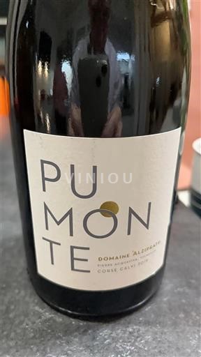 Korzika Nespecificirano Domaine Alzipratu Pumonte Non Millésimé