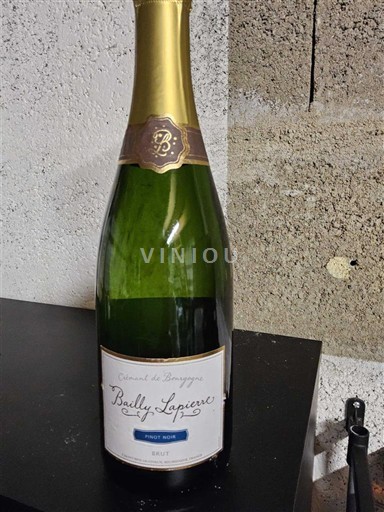 Burgundi Crémant-de-Bourgogne Bailly Lapierre Pinot Noir Brut Jo Viti