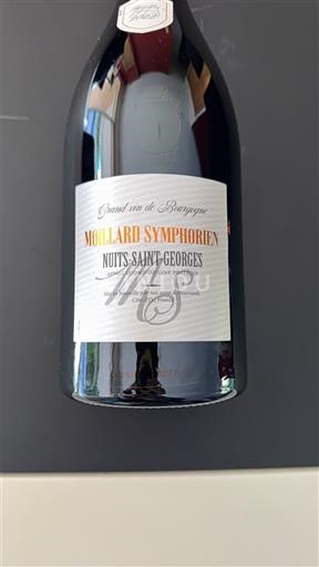 Bourgogne Nuits-saint-georges Moillard Symphorien 2022 Non Millésimé