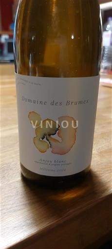 Vinuri Blanc sec Antan Blanc Domaine Brumes 2021 Franța Valea Loarei Nespecificat AOC